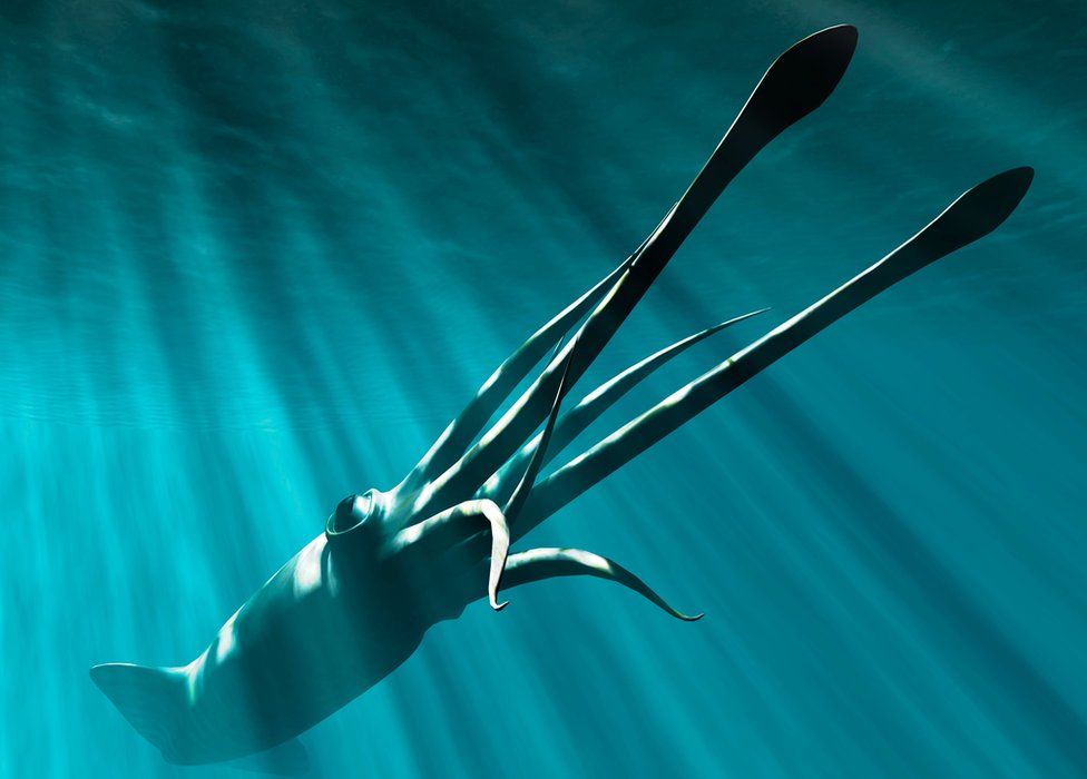 Computer representation of a giant squid