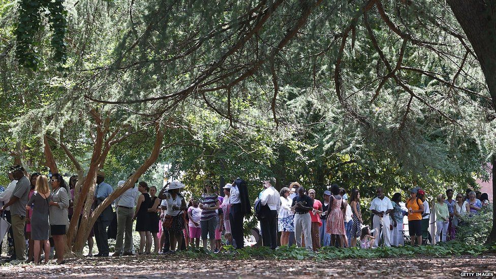 People queuing under shade from a tree