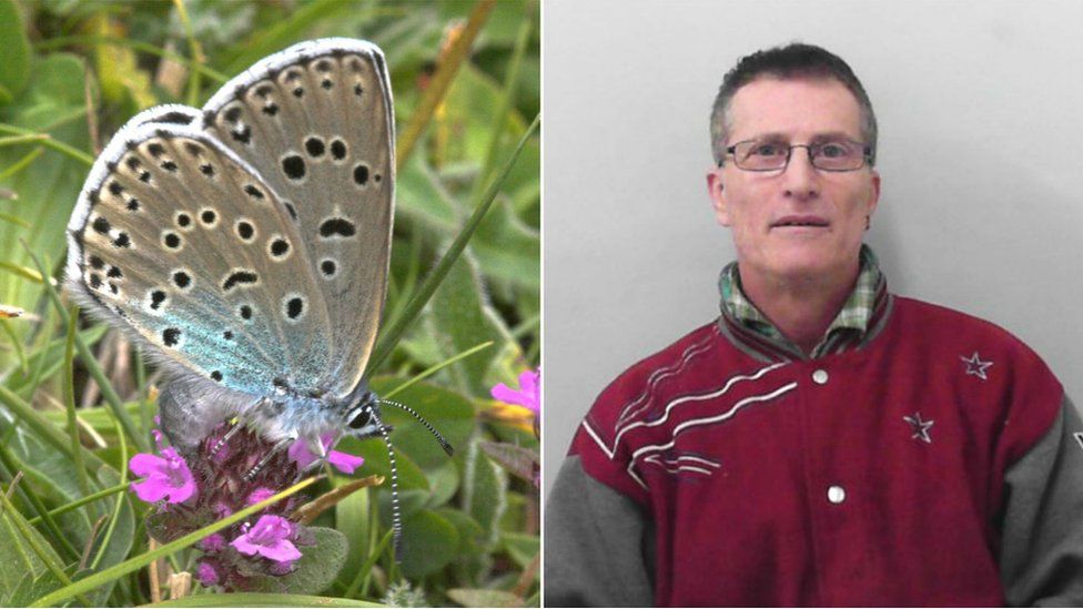 A composite image of Philip Cullen and a Large Blue butterfly