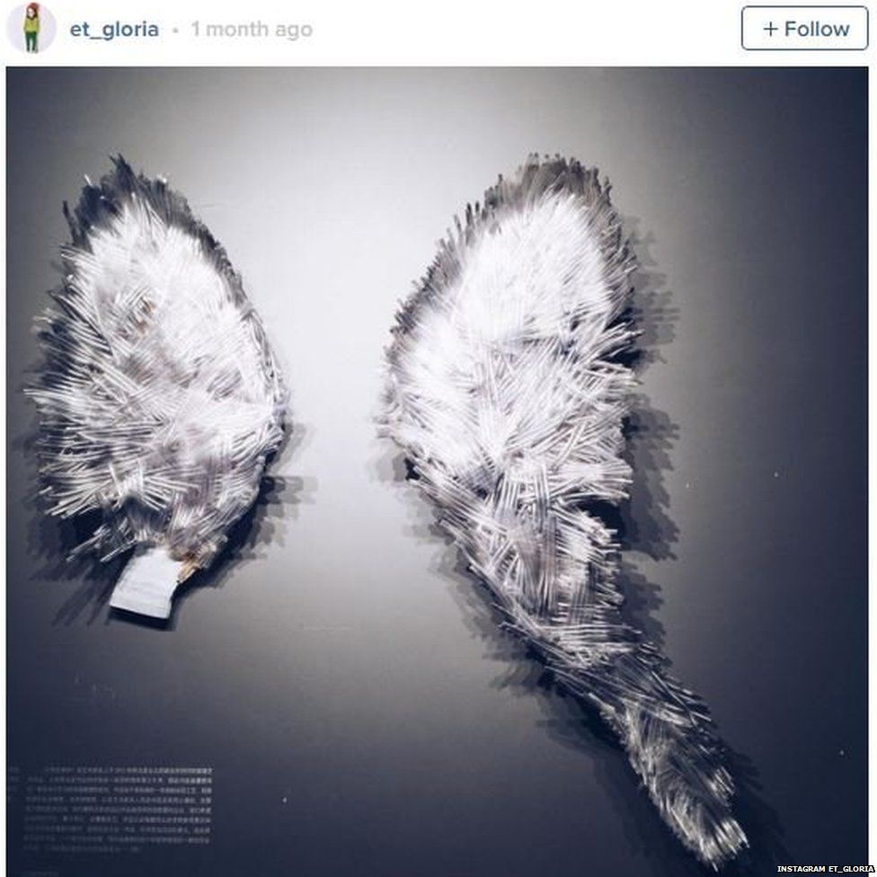 Черно-белое фото ангельских крыльев, переименованных в «Сломанные» после того, как крылья были разбиты посетителями Шанхайского музея стекла.