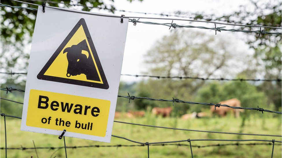 A sign reading 'beware of the bull'