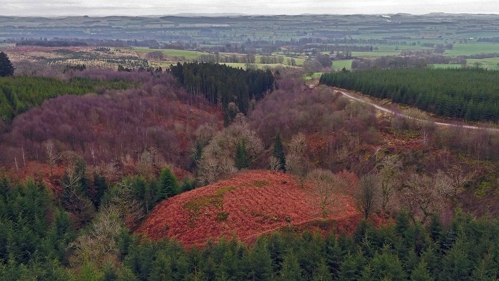 New drone view of William Wallace's 'hidden fort' BBC News