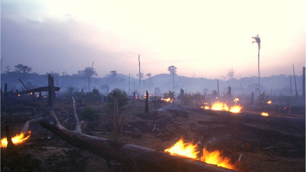 Trees being burnt and land cleared in the Brazilian Amazon rainforest