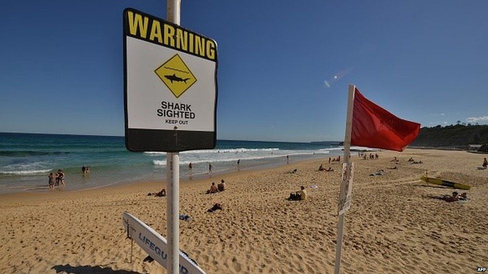 Shark warning signs are seen posted on the beach in the northern New South Wales city of Newcastle on January 17, 2015.