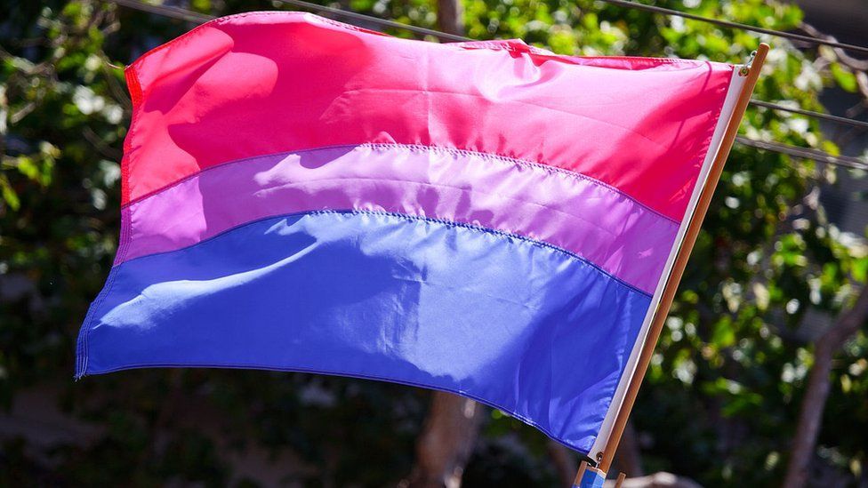 The bi-visibility flag in pink, lavender and blue flying over Cardiff University on September 23, 2017