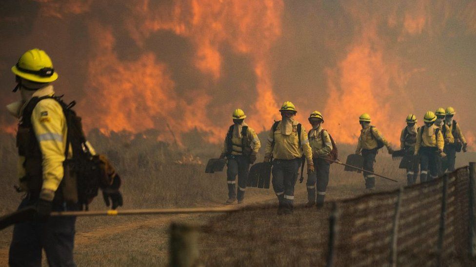 Firefighters leave an area where the flames become too aggressive, as a forest fire burns out of control on the foothills of Table Mountain