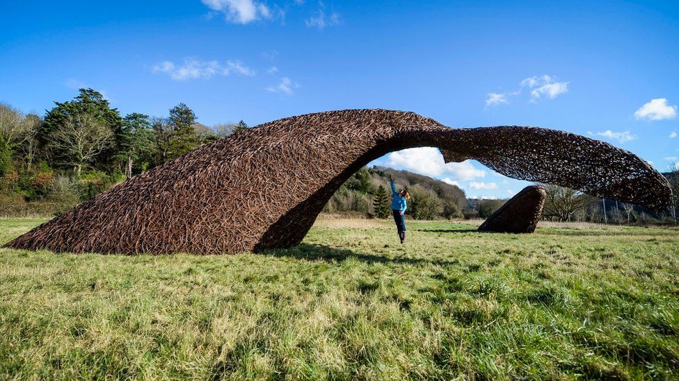 An art installation of life size whales made from willow