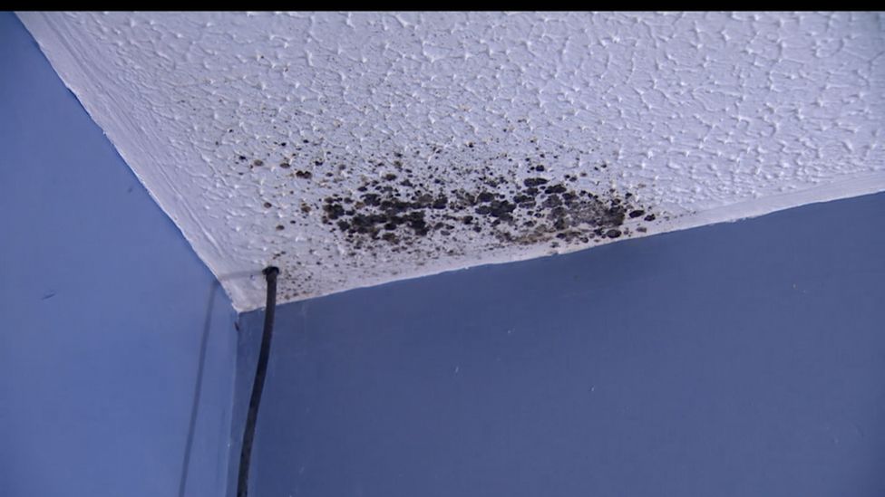 Mould on the ceiling of the woman's home in Ballymena