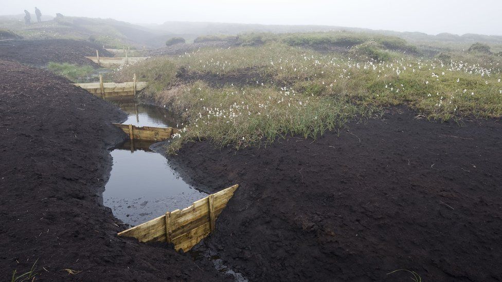 A peatland restoration project in the Peak District