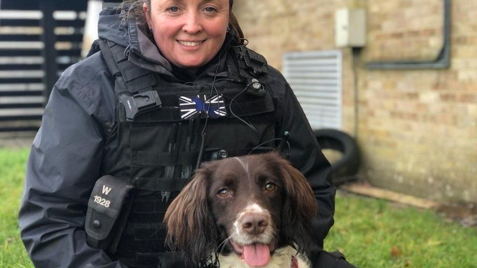 Sam Dutton, dog handler at Wiltshire Police, and 3-year old Springer Spaniel “Digi Dog” Dora