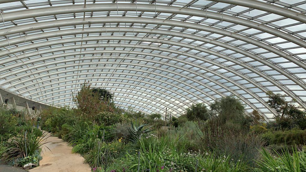 Greenhouse at the gardens