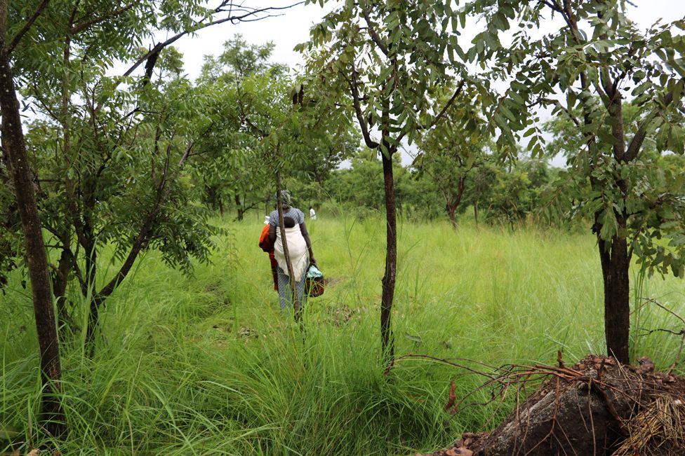 The first woman watches as she is shown the boundaries of her patch of land