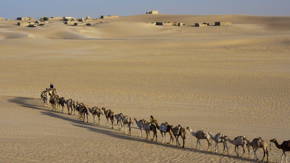 Camel train with nomadic tribesmen, Mali