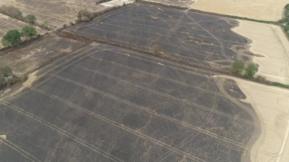 Field destroyed by wildfire