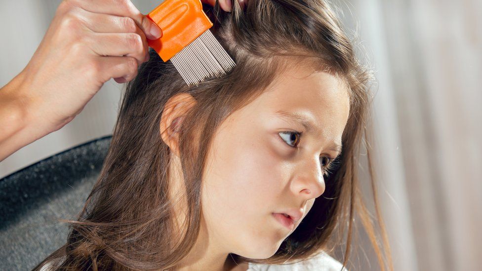 A girl being checked for head lice