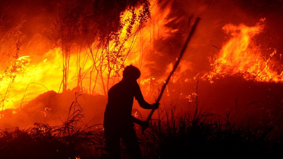 Kebakaran Hutan Dan Lahan Kian Meluas Dan Kabut Asap Semakin