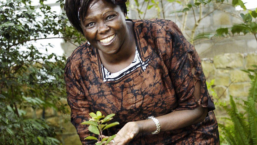 Wangari Maathai in 2005