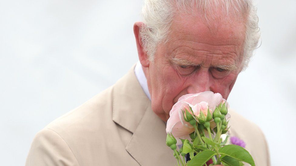 King Charles smelling a flower