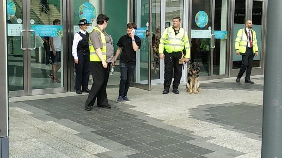are dogs allowed in westfield white city