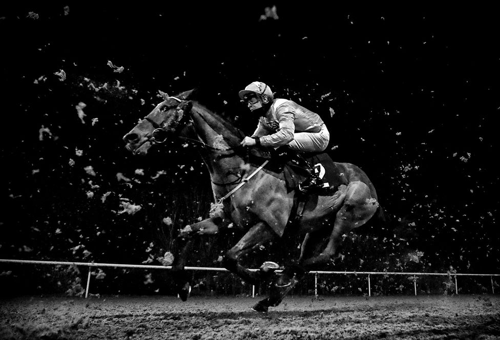 Goring is ridden by Charles Bishop during the Play 4 to win at Betway Handicap at Wolverhampton Racecourse