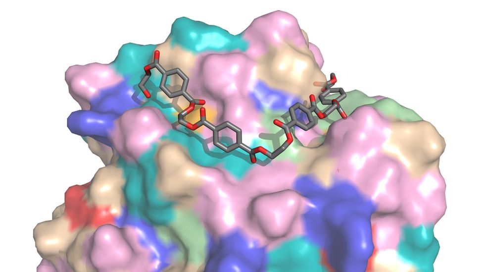 Graphic of PETase molecule