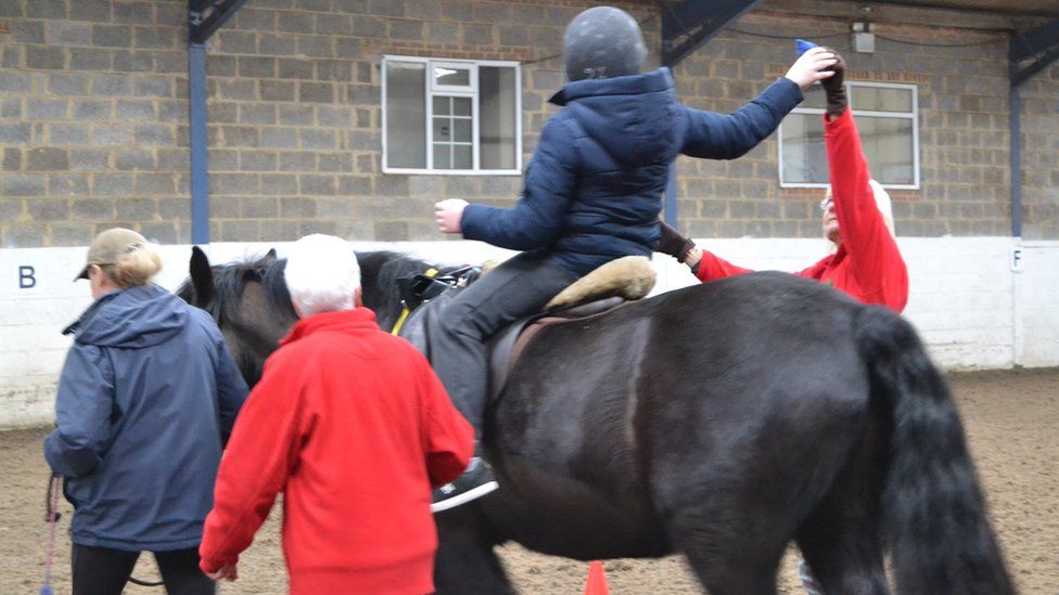 Fears for Knowsley riding school as land goes up for sale BBC News