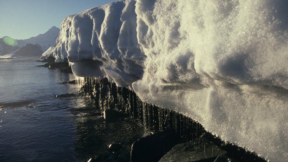 Drastic Antarctic Melt Could Double Global Sea Level Rise Bbc News