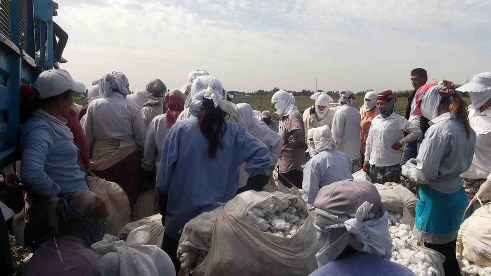 Workers during the 2014 Uzbek cotton harvest, documented by Elena Urlaeva