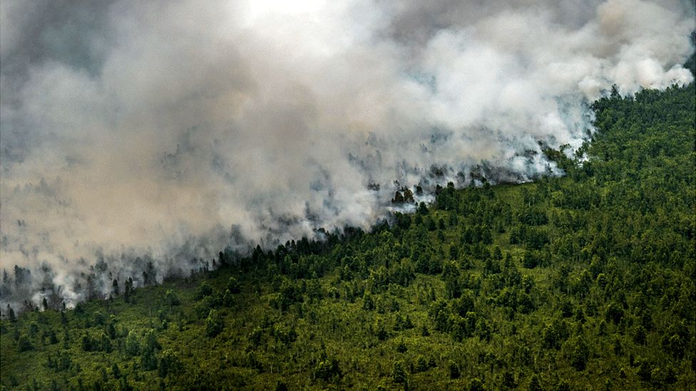 An aerial view of peatland and forest on fire in Indonesia