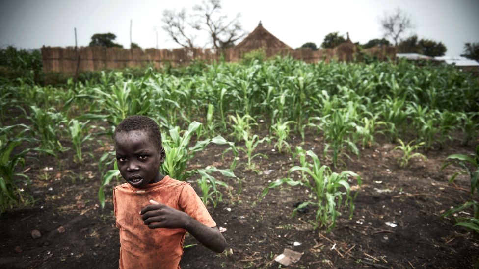 صبي بالقرب من مساحة صغيرة من المحاصيل في قرية القناة في ولاية جونقلي ، جنوب السودان