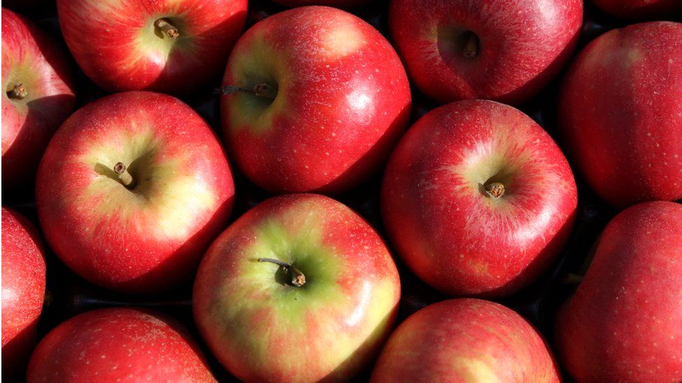 Apple farmers struggle amid rising costs, grower says - BBC News