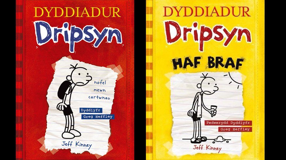 Dyddiadur Dripsyn