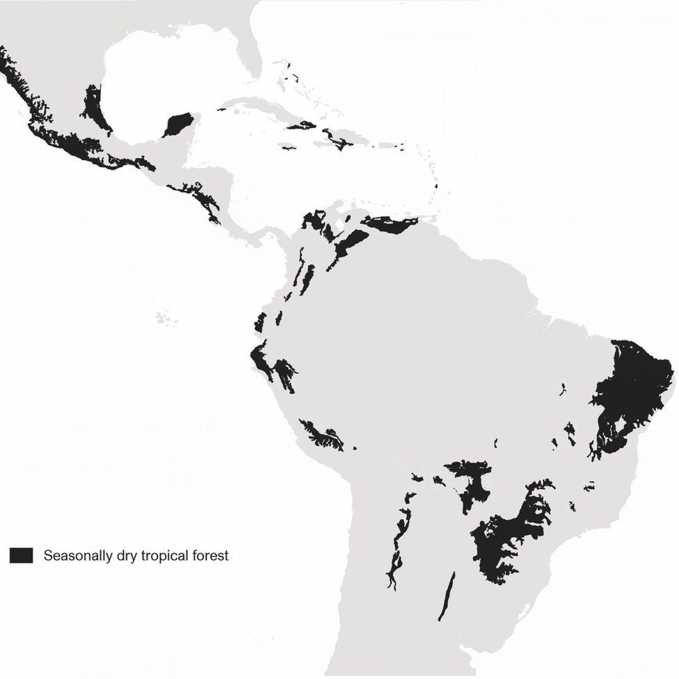Distribution of tropical dry forests across Latin America and the Caribbean