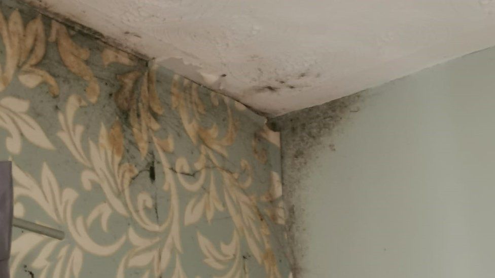 Mould on Stacey's wall and ceiling