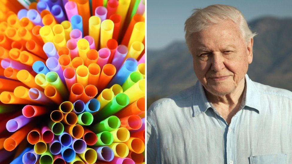 Sir David Attenborough and plastic straws