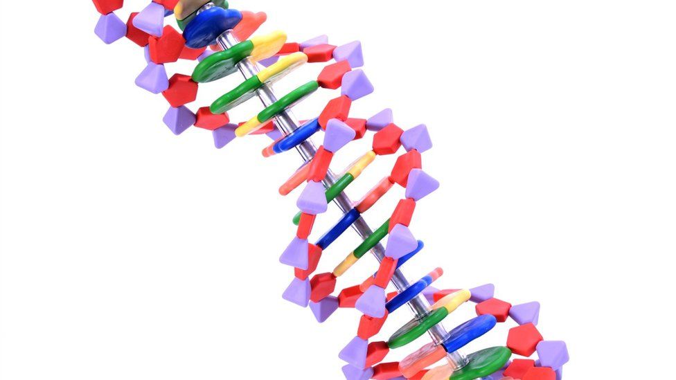 DNA