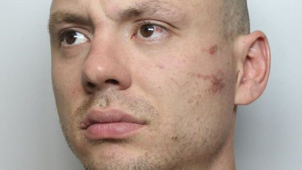 Man jailed for stabbing Derbyshire police dog PD Axle - BBC News