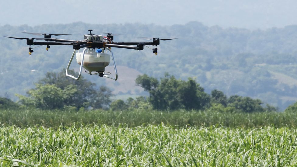 Crop-spraying drone over crop field