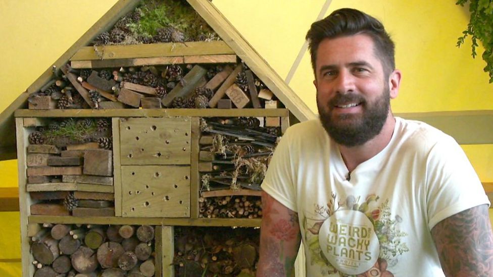 Bees Why are they under threat? BBC Newsround