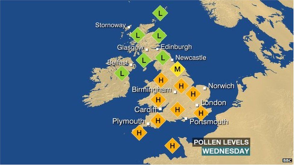 Beware the birch - BBC Weather