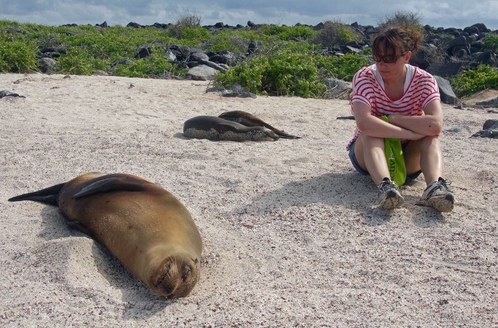 Sally Kettle with sea lion pup on beach