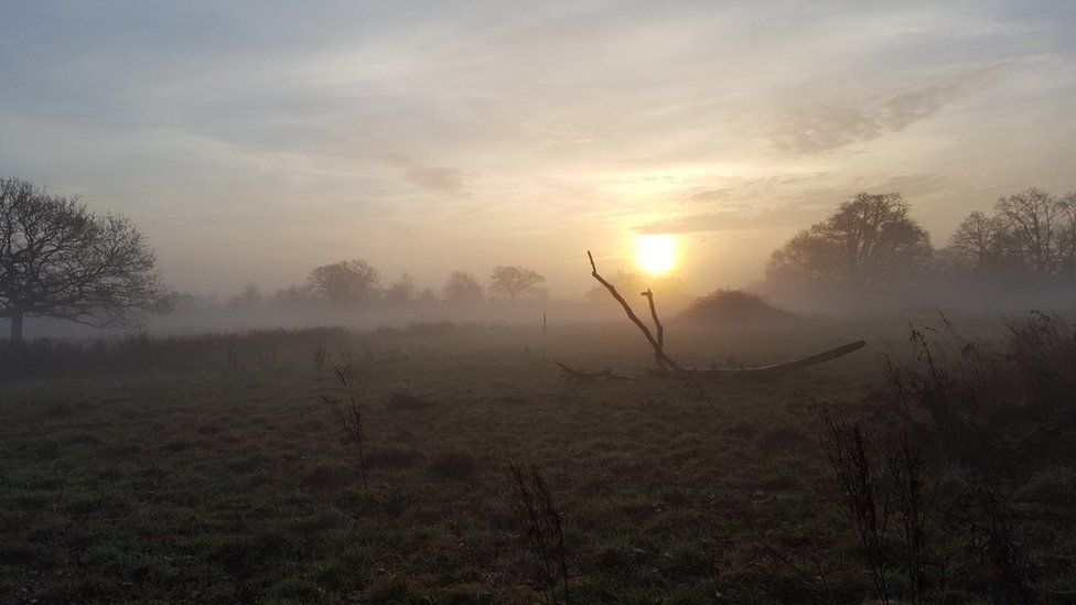 Wenny Meadows, Chatteris