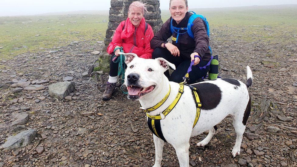 Amy Ross and Amy Carlin from Dogs Trust at the top of Ingleborough with Mila the dog