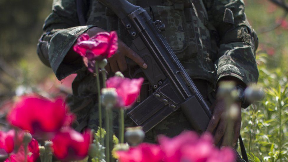 Soldier standing in a poppy field
