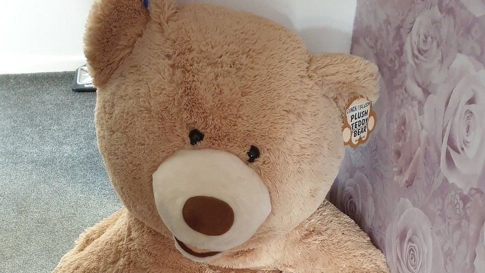 Teddy bear seized by police