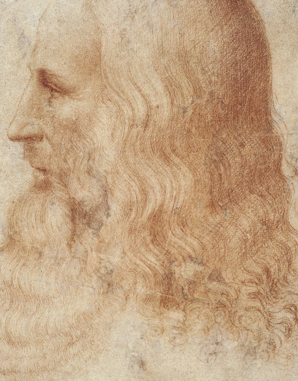 "A Portrait of Leonardo" completed by one of his students Francesco Melzi between 1515 - 1518