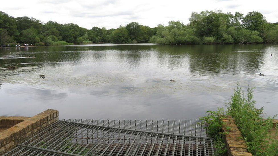 Connaught Water in Epping Forest