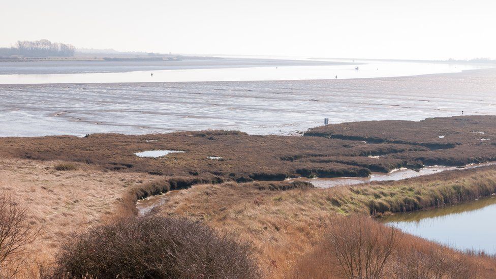 Salt marshes at Fingringhoe Wick