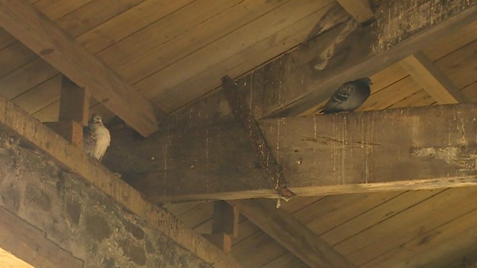 The Grade II-listed building is now the home for pigeons and needs extensive repairs