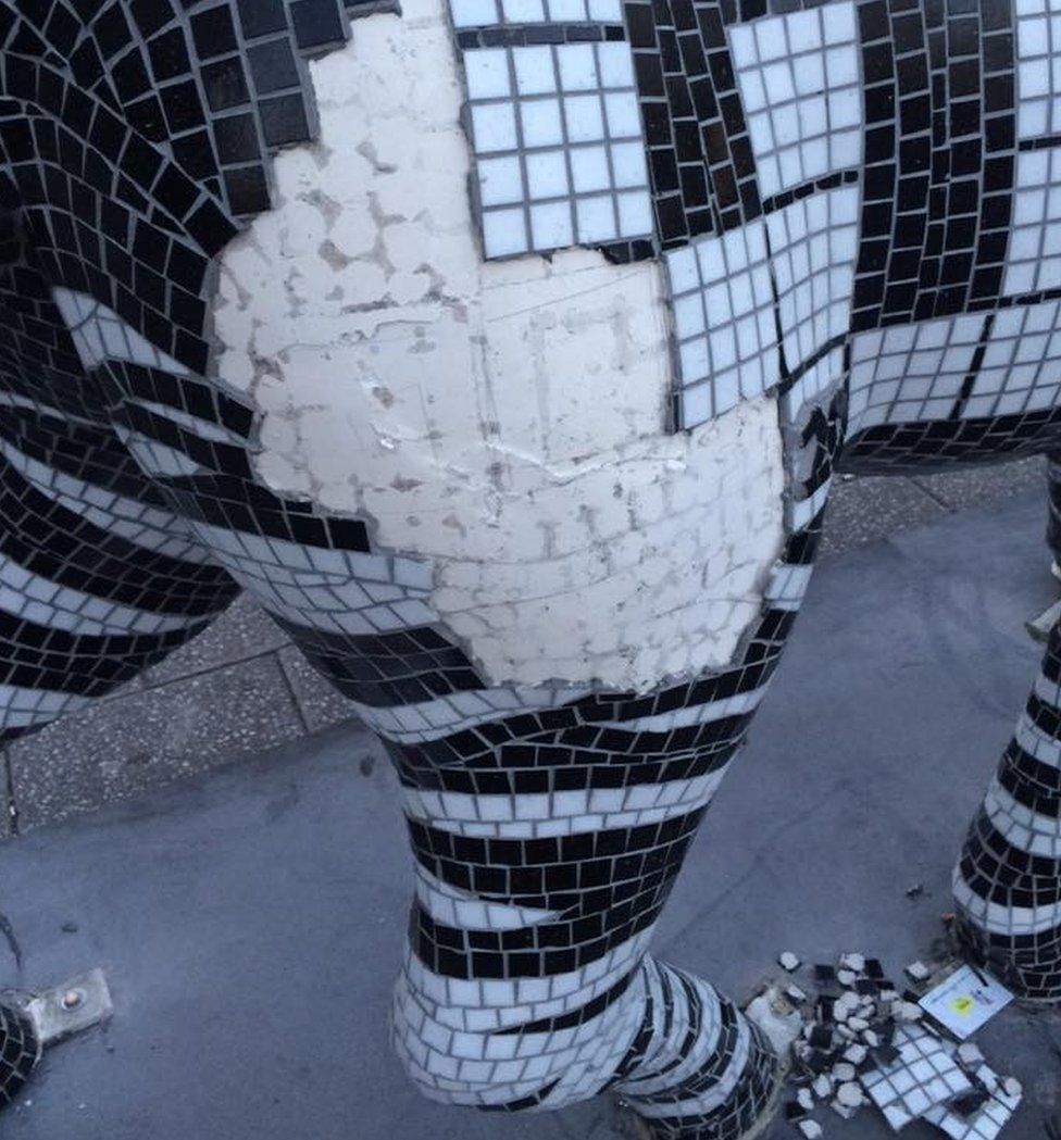 Vandalised zebra